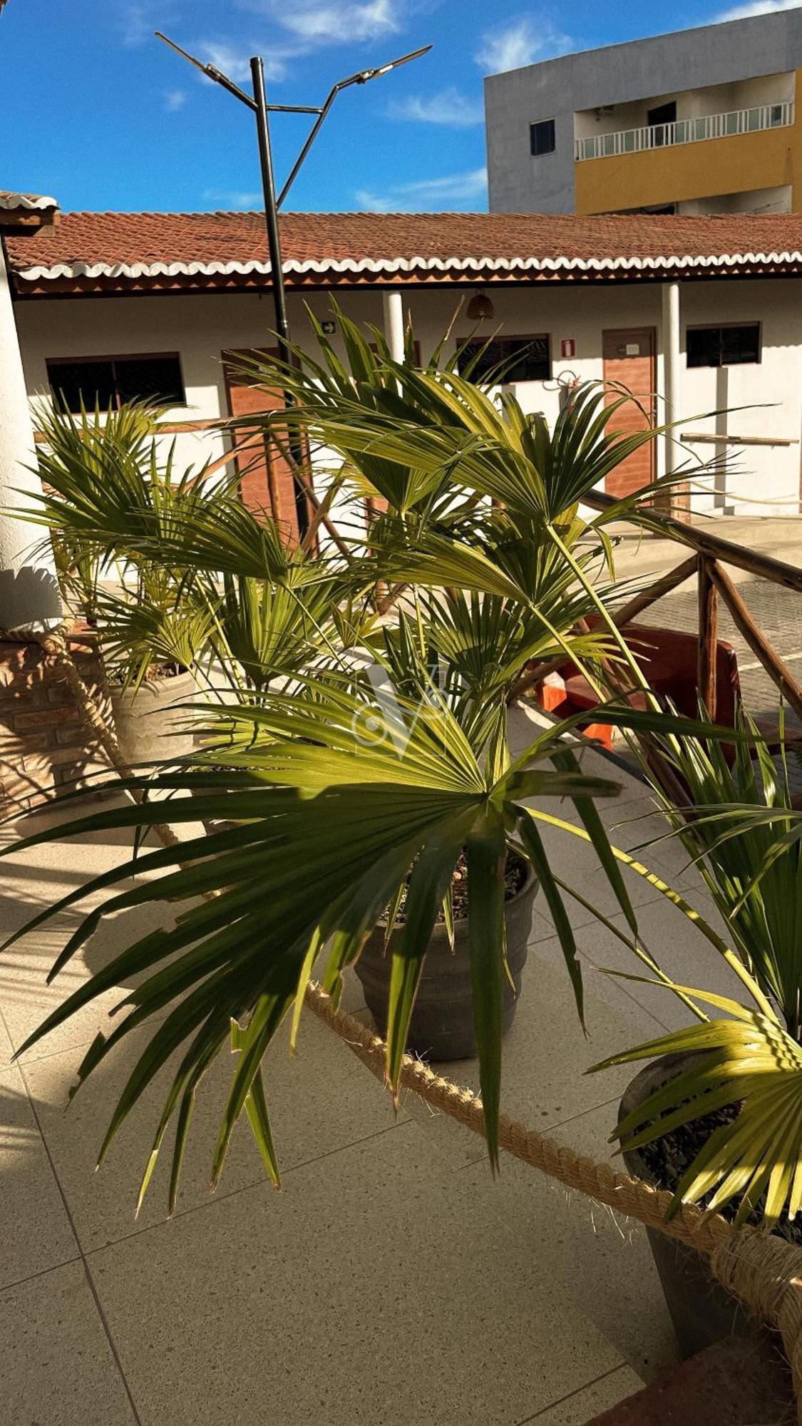 Village Comfort Hotel Canindé de São Francisco المظهر الخارجي الصورة